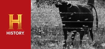 Невероятное с Дэном Эйкройдом, 3 сезон, 5 эп. Человек против природы.