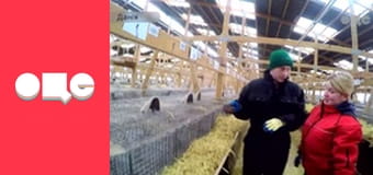 Заробітчани, 2 сезон, 23 еп.