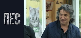 Dog, Season 4, Episode 11