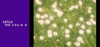 bulovinova - Холодна вода (lyric video) bulovinova - Холодна вода (lyric video)