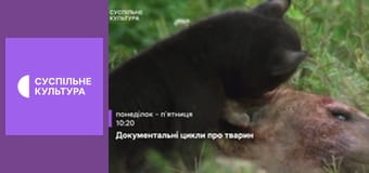 Лекторій. Музика.