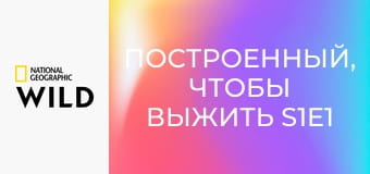 Построенный, чтобы выжить S1E1 - Влажные дикие тропики