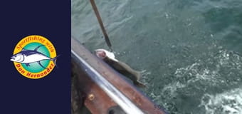 Stardust, part 1 Stardust, part 1