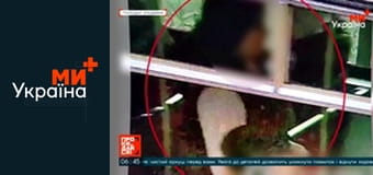 Просыпайся! Просыпайся!