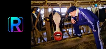 Кліпи. Кліпи.