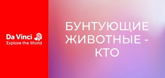 Бунтующие животные - Кто живёт в этой пещере?