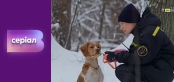 "Виклик", 2 сезон, 24 еп.