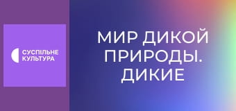 Д/с "Мир дикой природы. Дикие животные". "Открытый океан".