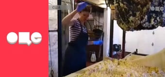 Заробітчани, 2 сезон, 25 еп.