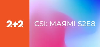 CSI: Маямі S2E8