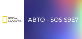 Авто - SOS S9E7 - Peugeot6 Rallye