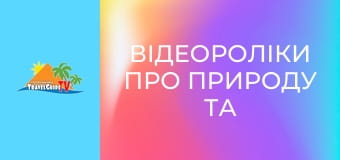 Відеороліки про природу та тварин. Відеороліки про природу та тварин.