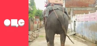 Особливості національної роботи, 1 сезон, 7 еп.