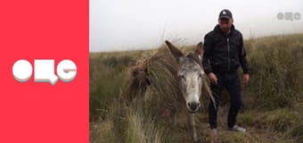 Особенности национальной работы, 4 сезон, 45 эп.