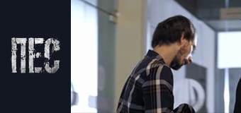 Пес, Сезон 4, Серія 3