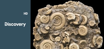 Как это устроено? S11E6 - Кинокамеры