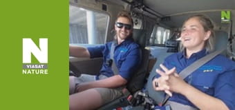 Австралійські змієлови - Смертоносний укус