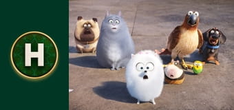 Секрети домашніх тварин