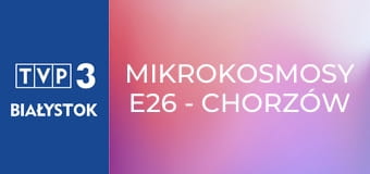 Mikrokosmosy E26 - Chorzów Batory Mikrokosmosy E26 - Chorzów Batory