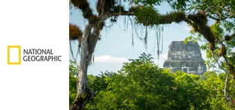 Затерянные сокровища Майя S1E4 - Тайны Бога Солнца