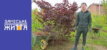 "Дачники" сезон 2 серия 7 "Дачники" сезон 2 серия 7