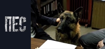 Dog, Season 3, Episode 22