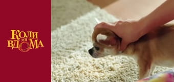 Когда мы дома - Сезон 2 Серия 25