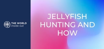 Jellyfish hunting and how the Chinese cook it. China.