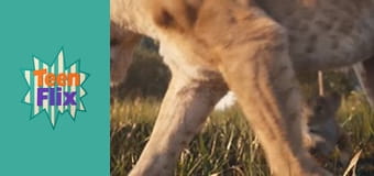 KidsFlix Сезон 1 Эпизод 5