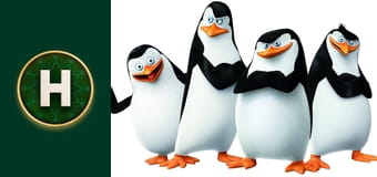 Пінгвіни Мадагаскару