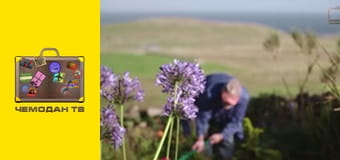 Острови Королеви. Шетландські острови. Острови Королеви. Шетландські острови.