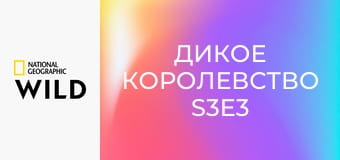 Дикое королевство S3E3