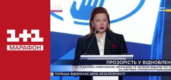 "Единые новости". Телемарафон.