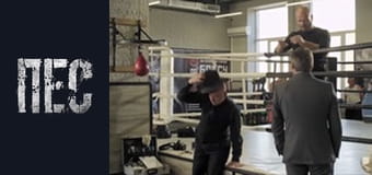 Пёс, Сезон 5, Серия 2