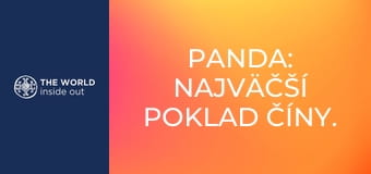 Panda: najväčší poklad Číny. Život v horskej dedine. Čína. Panda: najväčší poklad Číny. Život v horskej dedine. Čína.