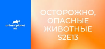 Осторожно, опасные животные S2E13 - Выжить ради семьи