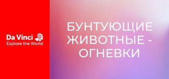 Бунтующие животные - Огневки ленивца и их слишком медлительный хозяин