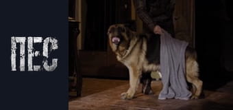 Dog, Season 2, Episode 21