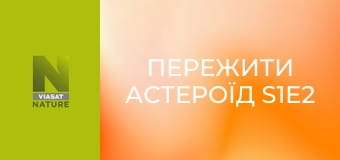 Пережити астероїд S1E2