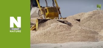 Планета Великий Барʼєрний риф - Рятувальники черепах на острові Рейн