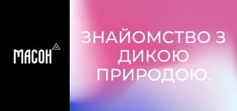 Знайомство з дикою природою. Колібрі. Мерехтливі споживачі нектару Америки. Знайомство з дикою природою. Колібрі. Мерехтливі споживачі нектару Америки.