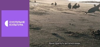 Д/с "Суперспособности животных". "В небе".