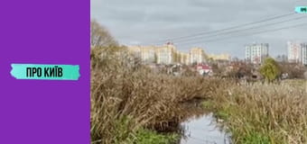 Петропавлівська Борщагівка: київська Швейцарія, "головна" Борщагівка, Електронмаш. Історія та факти.