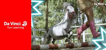 Один талант - Брати Зейн: відомі циркачі