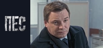 Пес, Сезон 6, Серія 38