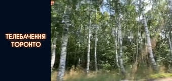 Российско-Украинская война - серия 80