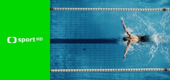 Plavání: Český pohár Arena Cup - VC Brna