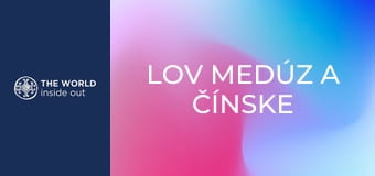 Lov medúz a čínske recepty na ich prípravu. Čína. Lov medúz a čínske recepty na ich prípravu. Čína.