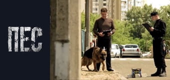 Пёс, Сезон 3, Серия 1