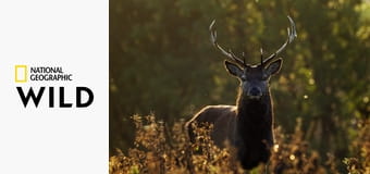 Аутсайдеры S1E2 - Настоящий шок